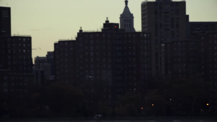 Birds fly in front of a city skyline at dawn