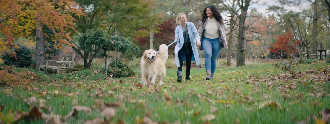 Two female friends walk a dog through a garden laughing in the fall