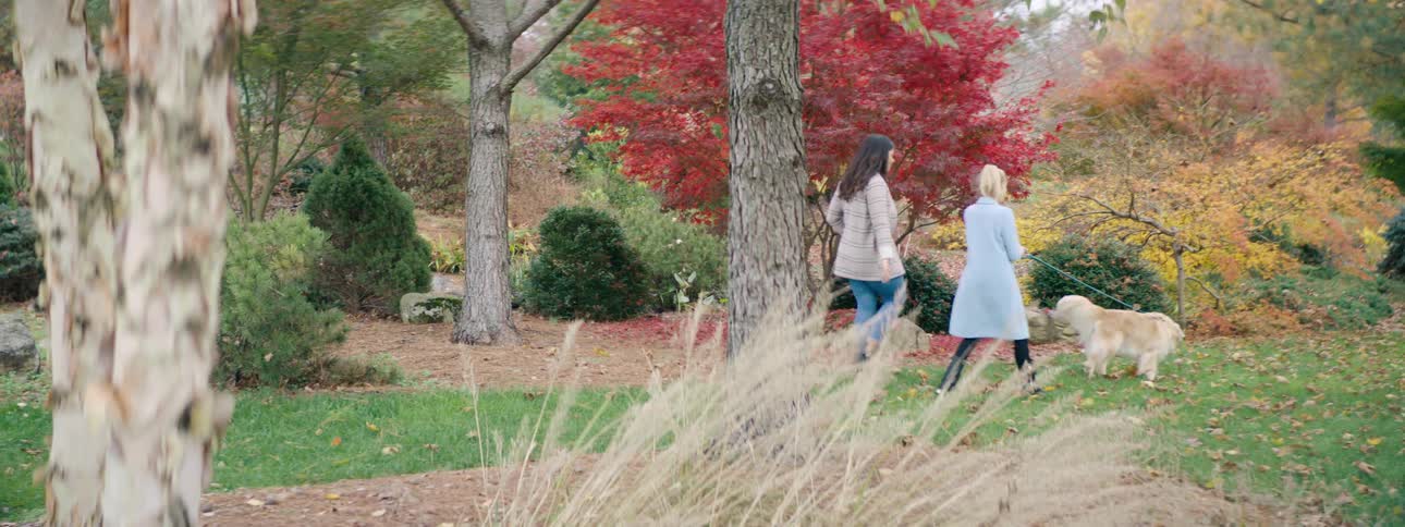 Young friends walk a dog through a park with fall leaves
