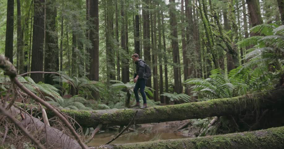 Man walks across a log going over a small stream in the woods