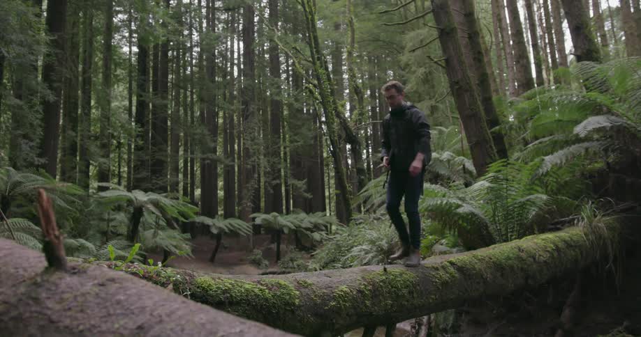 A man is walking across a fallen tree in a forest during the day