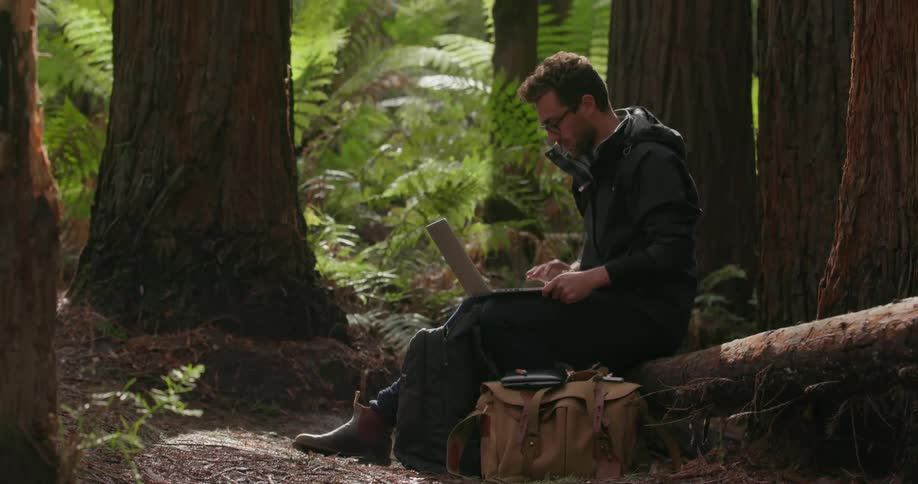 A man is using his laptop in the windy forest