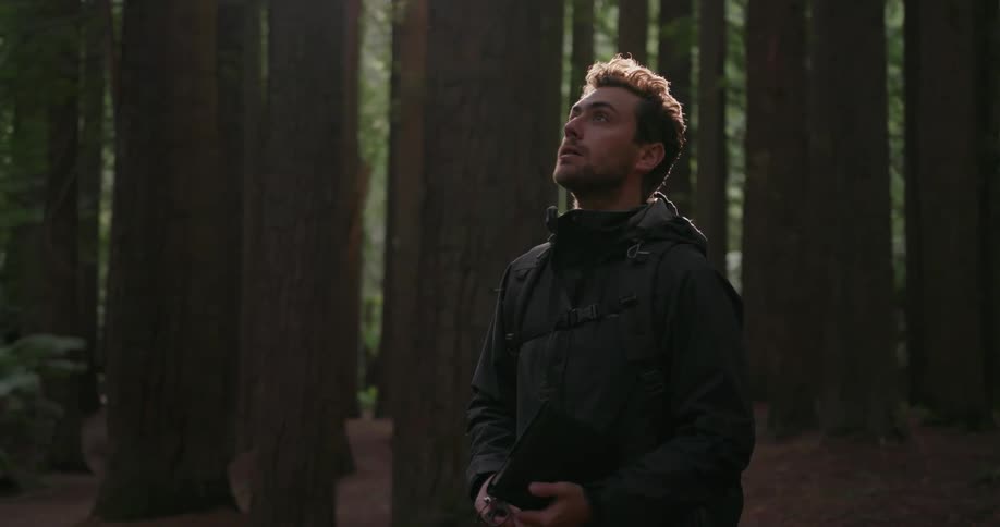 A man looks up towards the top of the trees in the forest