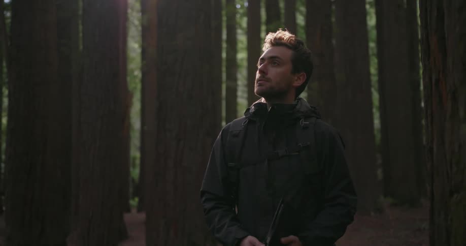 A man is walking through the woods with a book in his hands