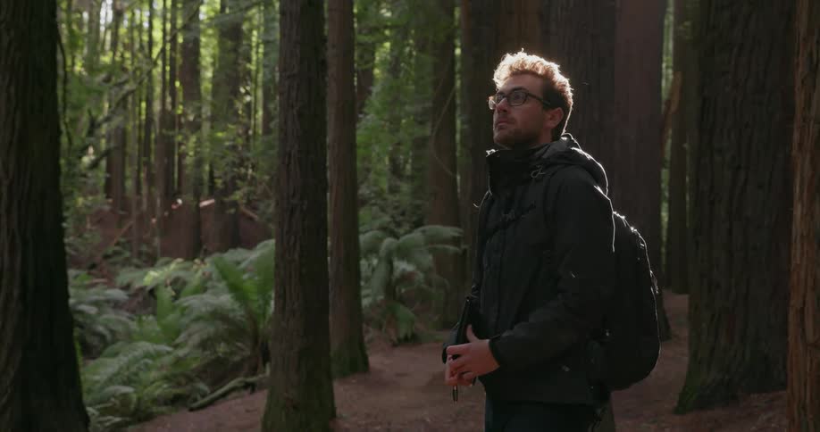 A man takes in the view of a forest as he hikes