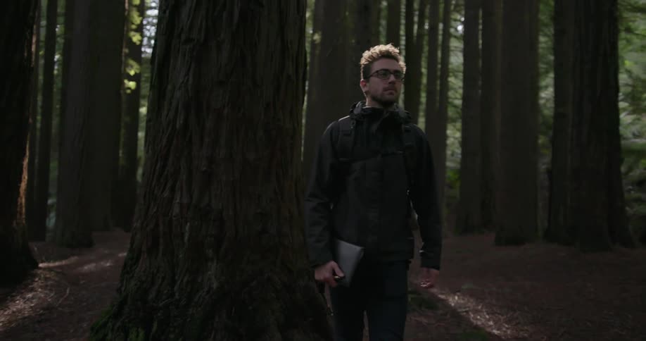 A man is hiking by himself in the woods