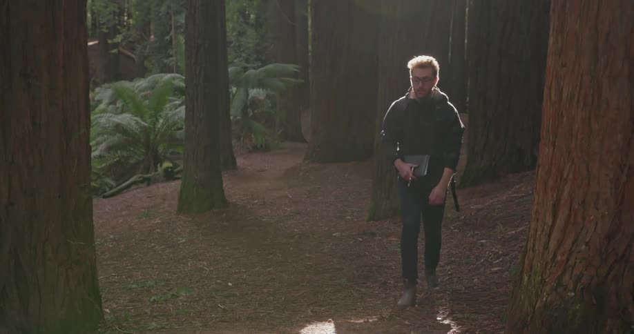 A man hikes carrying a book past some tall trees