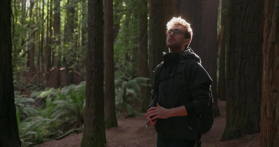 A man with a book in his hands is walking through the woods