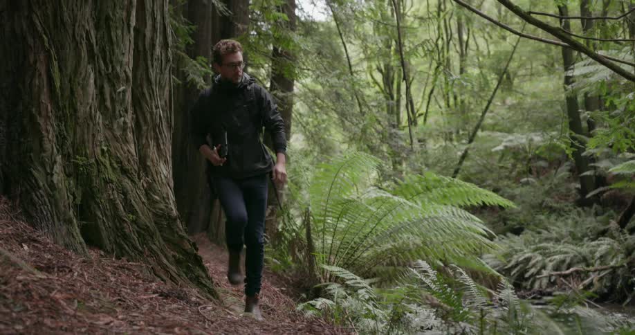 Man walking on trail in forest wilderness