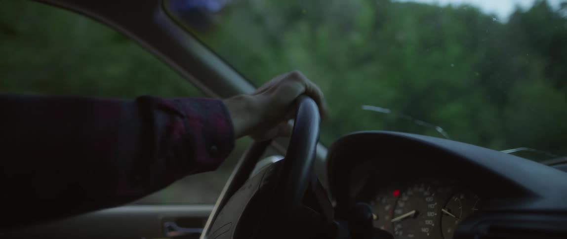 Hand holds on to the steering wheel of a vehicle as it travels past the trees