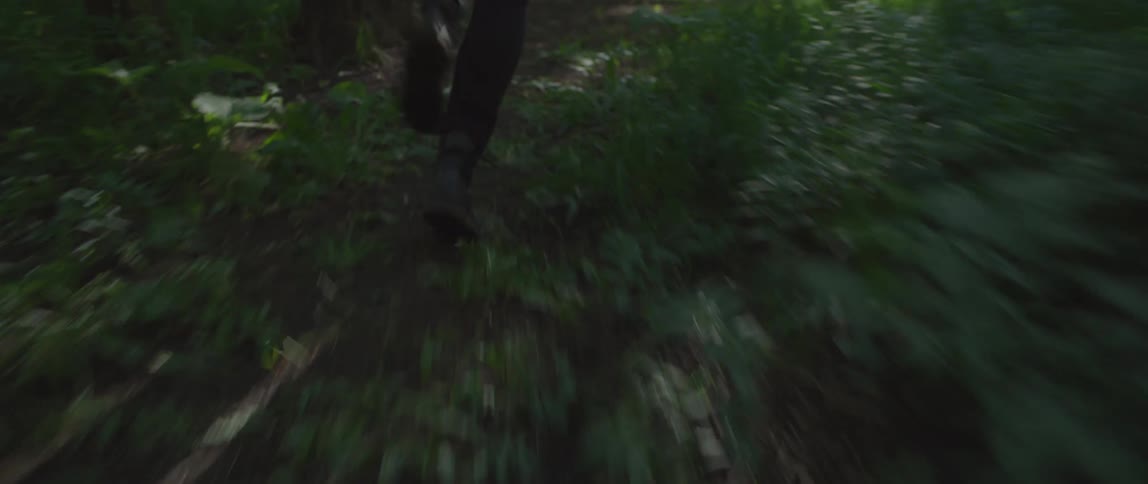 The legs of a person running through a woodland during the day