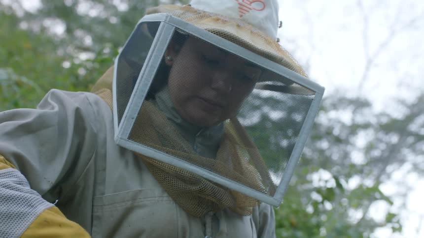 A beekeeper is working on a farm