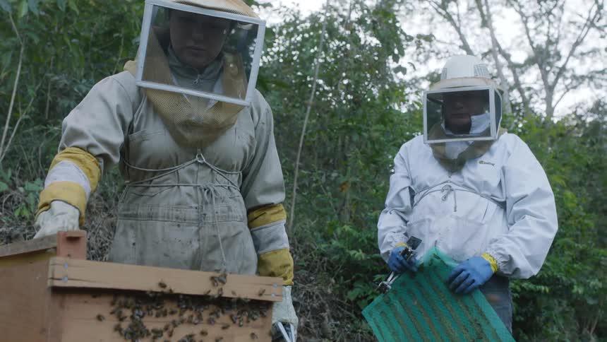 A woman wearing protective gear works on a hive while another beekeeper sprays smoke