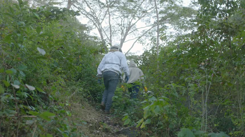 Three people wearing protective gear hike up a hill in the woods