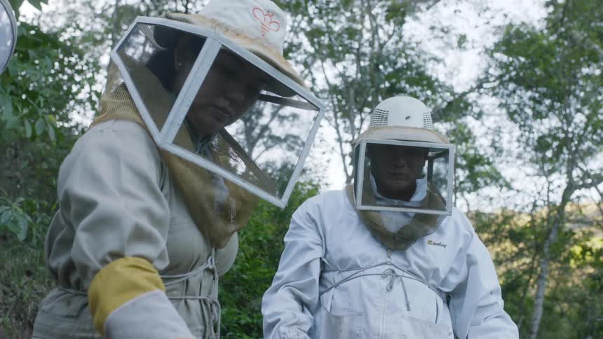 Beekeepers stand in a swarm of bees