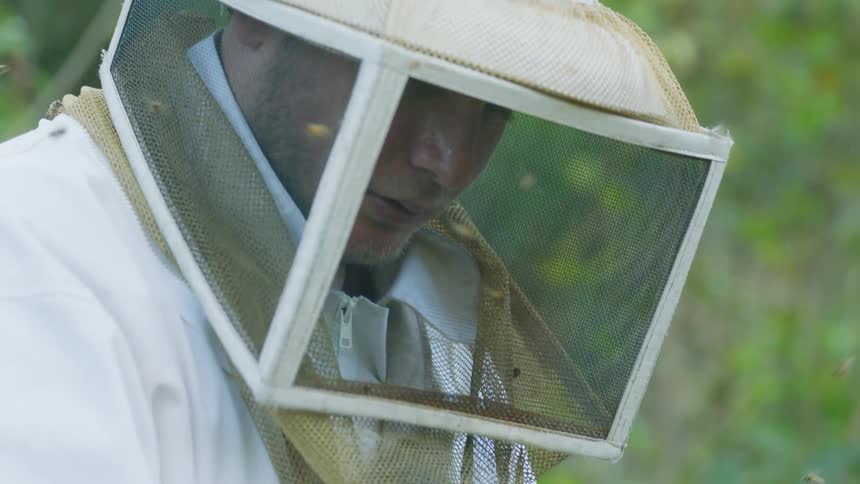 A beekeeper in a bee suit works outdoors while surrounded by bees