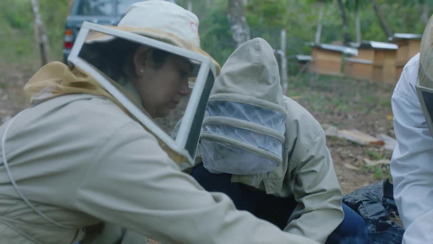 Beekeepers sit in front of bee hives and burn wood and paper in small fires
