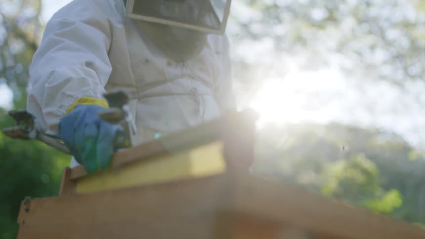 Two beekeepers walk towards a hive and put a screen in and then pull it out to look at it