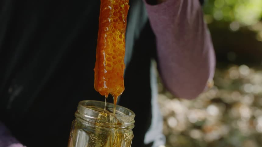 A person pulls the honeycomb from the jar