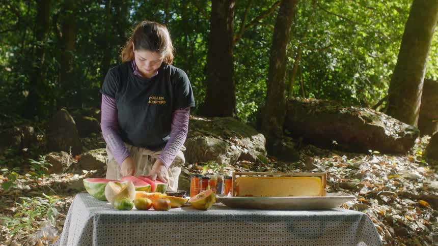 A caterer cuts a watermelon for an event in the woods