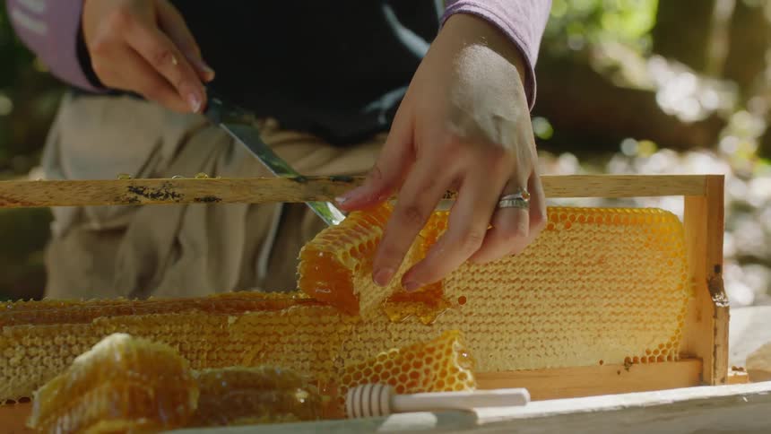 A woman cuts honeycomb