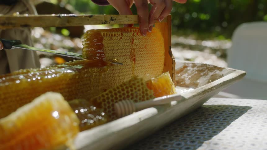 Chunk of honeycomb is cut with a knife