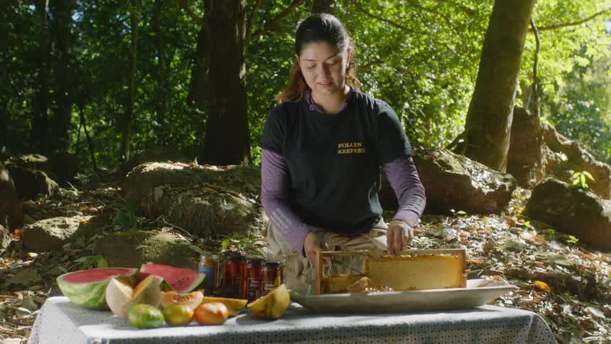 A woman is cutting a honey comb outside