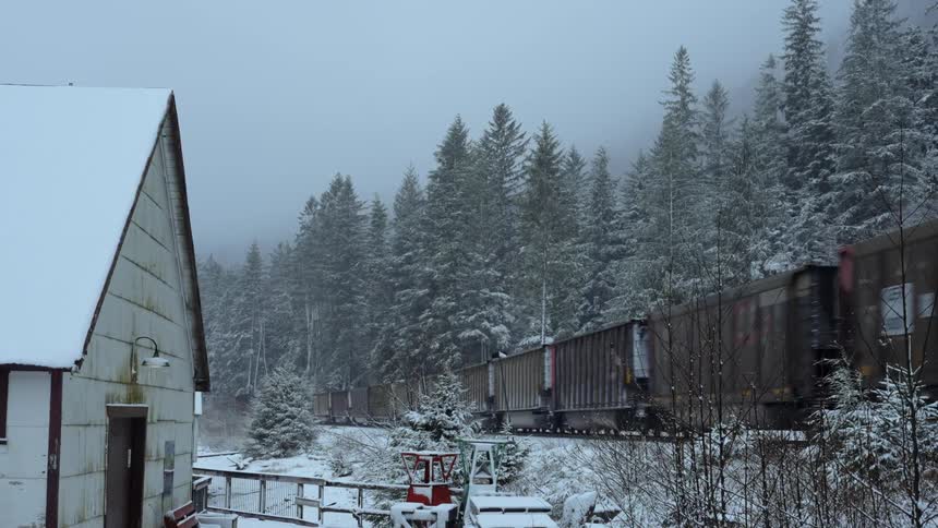 A cargo train runs past a small home near a forest