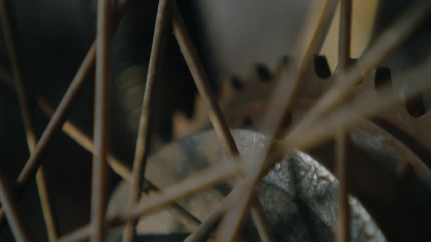 The light shines on the bicycle spokes