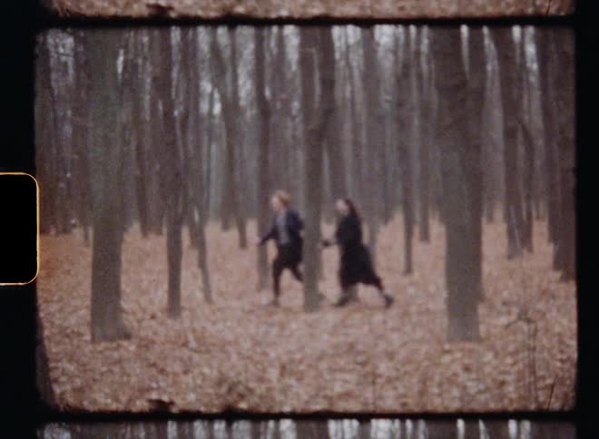A couple are holding hands and running through bare trees in the woods and dry leaves on the ground