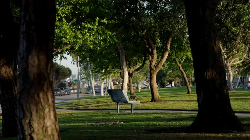 A view of a bench in a park