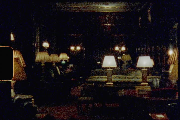 Numerous table lamps light up richly appointed living room