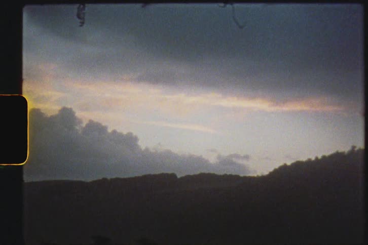 Film footage of a wooded area at dusk is displayed