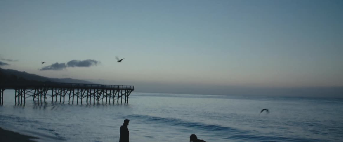 Two people are having fun at the beach at dusk