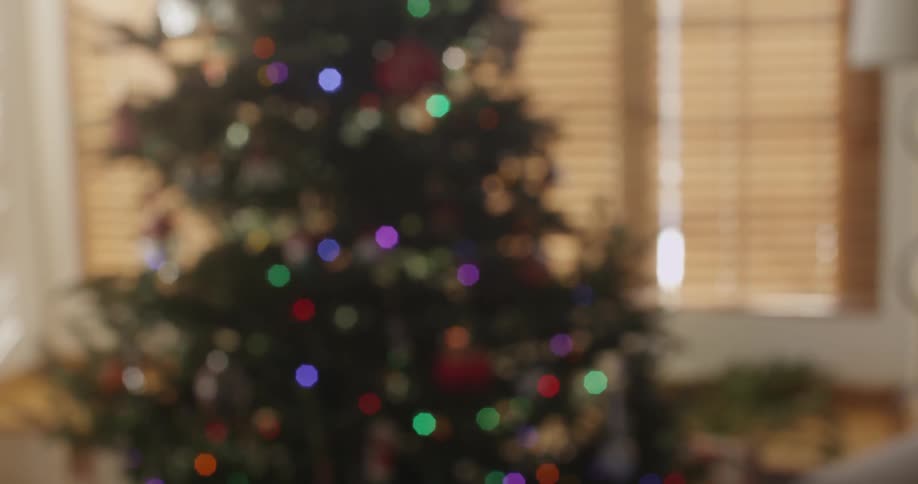 A christmas tree is by the window in a living room