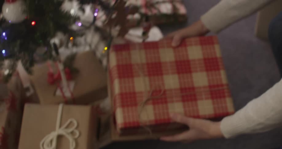 A person places a wrapped present under the tree