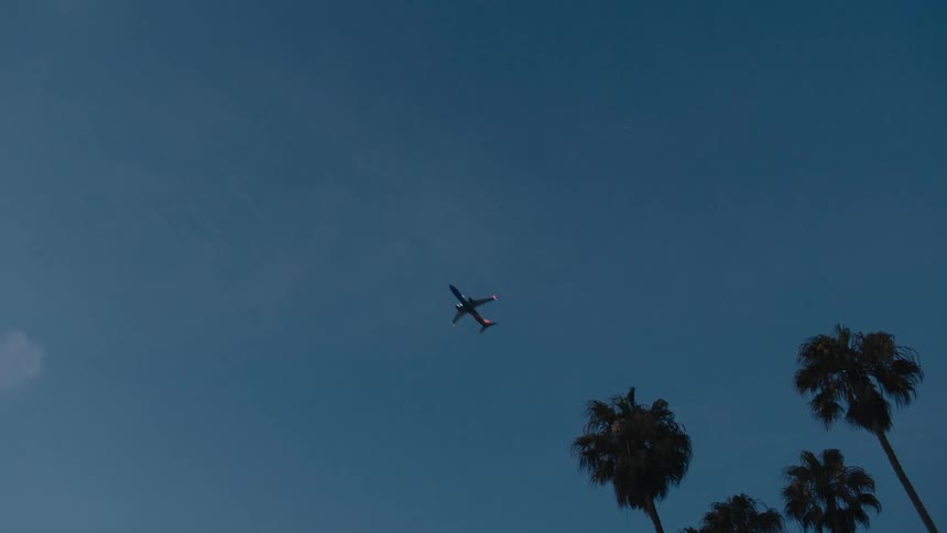 An airplane flies across the sky and over palm trees