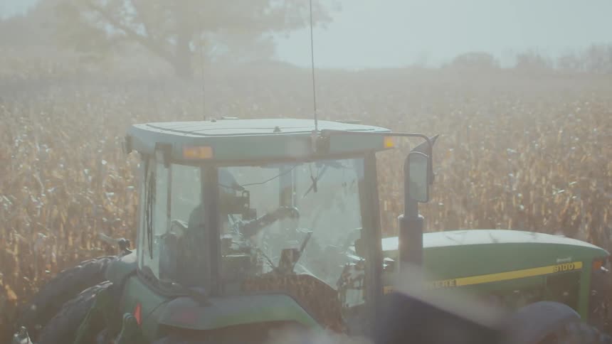 A farmer drives a tractor through a field of tall crops on a very sunny day