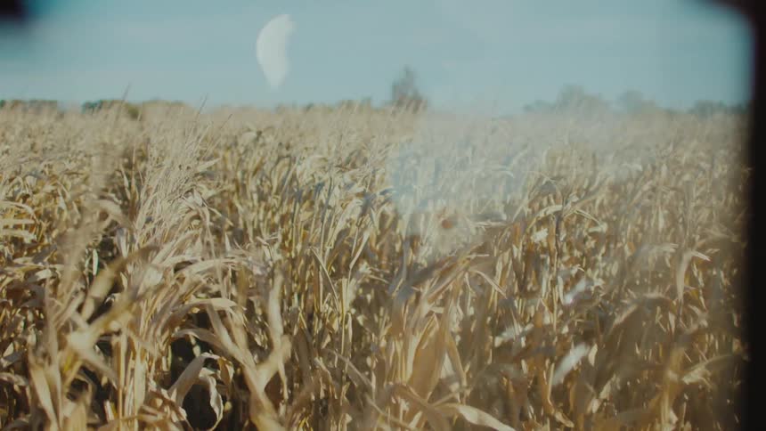 A farming vehicle is moving through crops