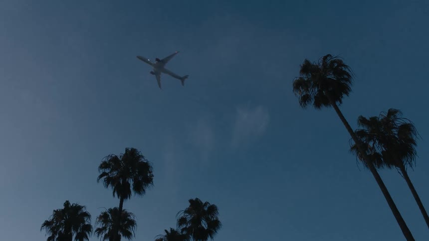 An airplane flies across the sky and over palm trees