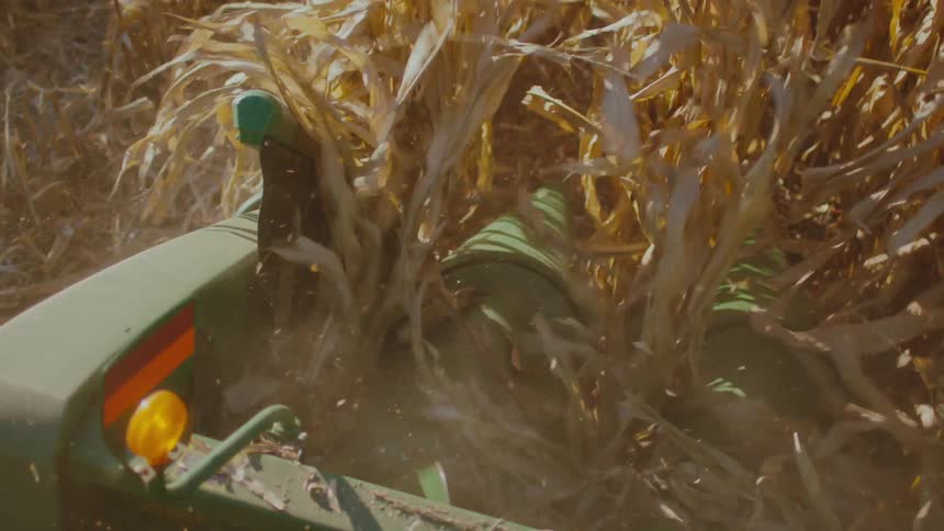 A view of a combine cutting down corn