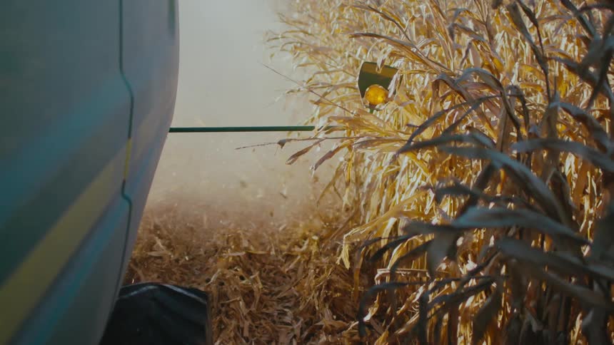 Dust and crops churn as combine harvests corn
