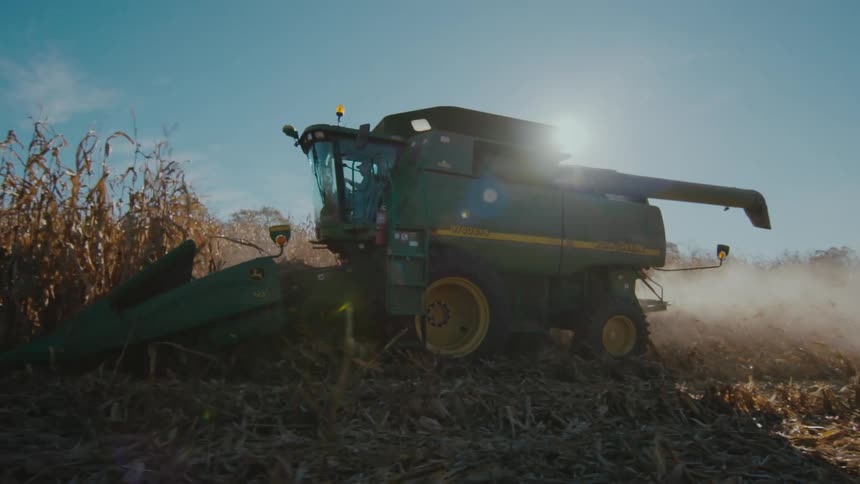 A tractor is plowing a field of corn as the sun shines brightly in the distance