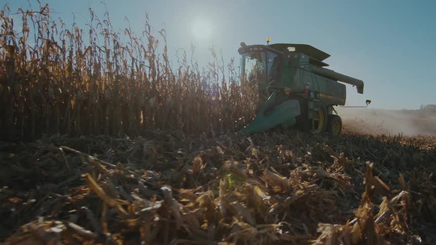 A harvester picking up food