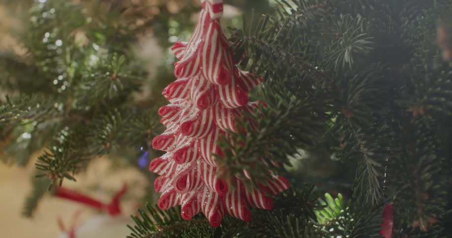 A christmas tree with a christmas tree ornament