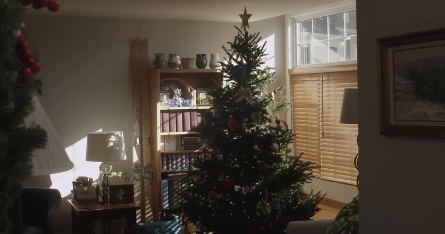 A christmas tree sits in a living room