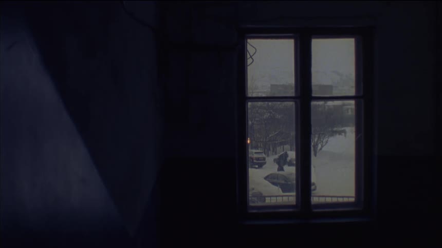 A window in a home has the view of a parking lot where people are cleaning snow off their vehicles