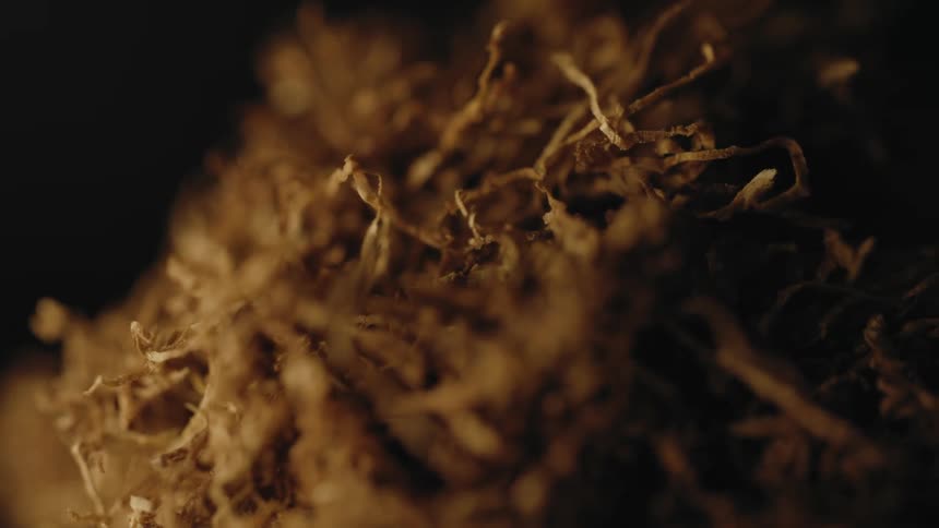Crumpled tangled of dried plant material sits in dark area
