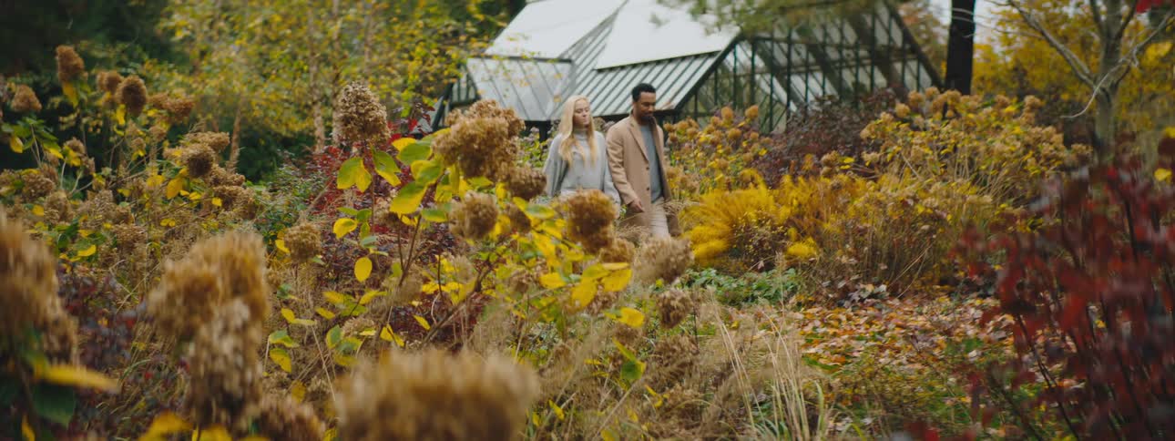 Mixed race couple strolls through a  golden garden in the fall