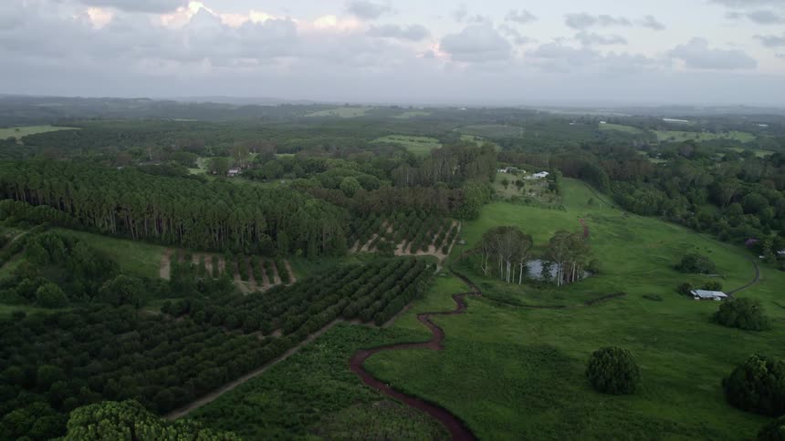 Lush green farmland with rows of trees a pond and gentle slopes